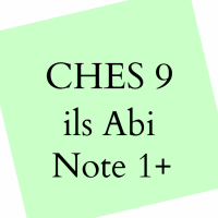 Cover - Einsendeaufgabe _ CHES 9  _ Note 0,7 _ ils Abitur