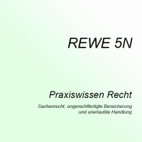 Cover - Lösung REWE 5N - Note 1