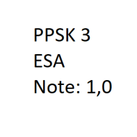Cover - ILS PPSK 3-XX1-A02