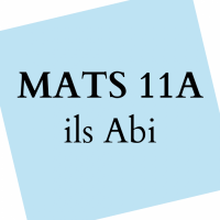 Cover - Einsendeaufgabe _ MATS 11A _ Note 1,0 _ ils Abitur _ MatS 11a / 0217 K06